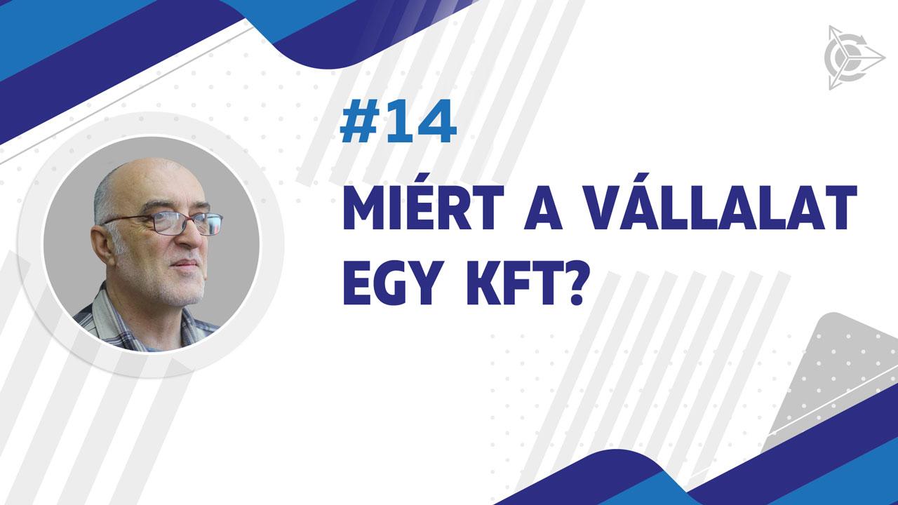 Miért a vállalat egy Kft?