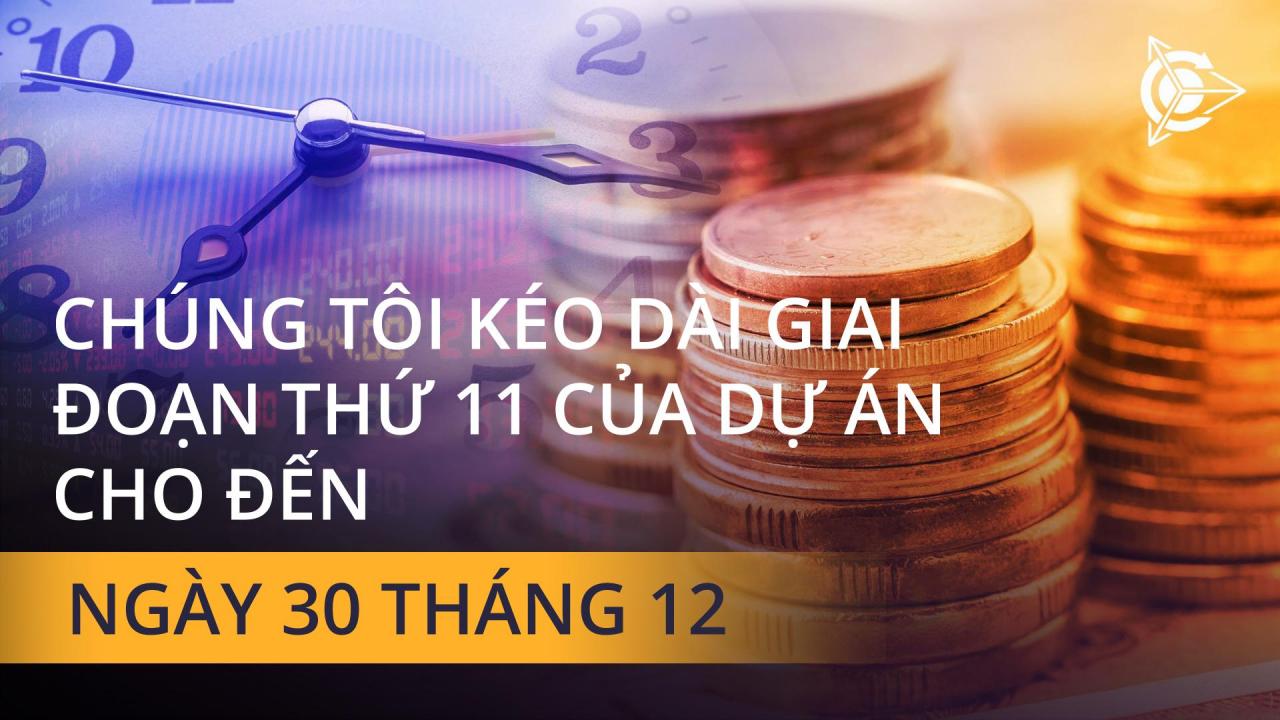 Chúng tôi mở rộng giai đoạn thứ 11 của dự án!