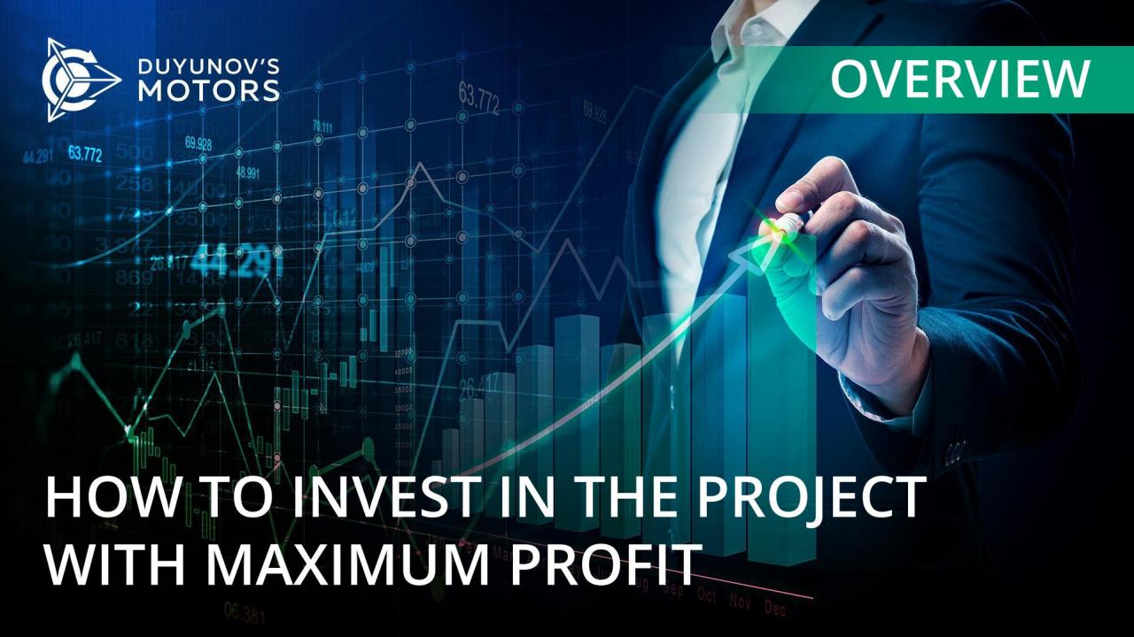 Overview: how to invest in the project with maximum profit