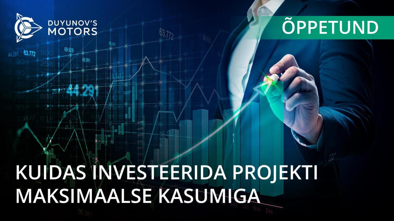 Õppetund: kuidas investeerida projekti maksimaalse kasumiga