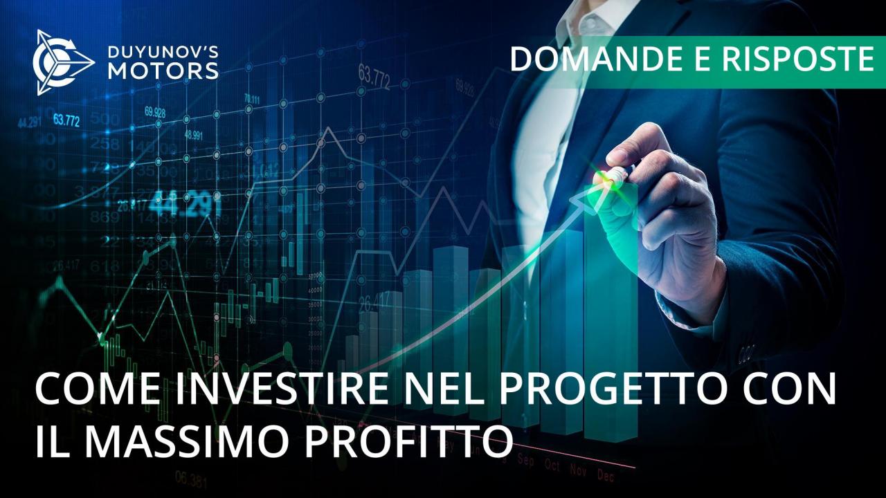 Domande e risposte: come investire nel progetto con il massimo profitto