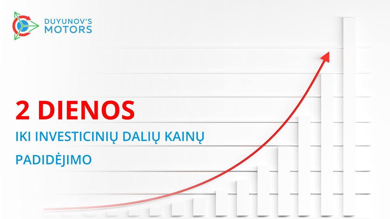 2 dienos iki investicinių dalių kainų padidėjimo!