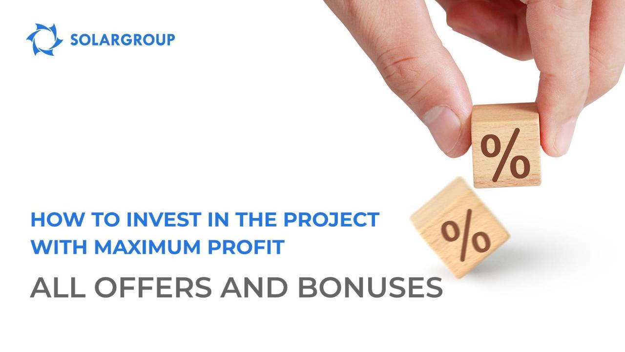 How to invest in the project with maximum profit: all offers and bonuses