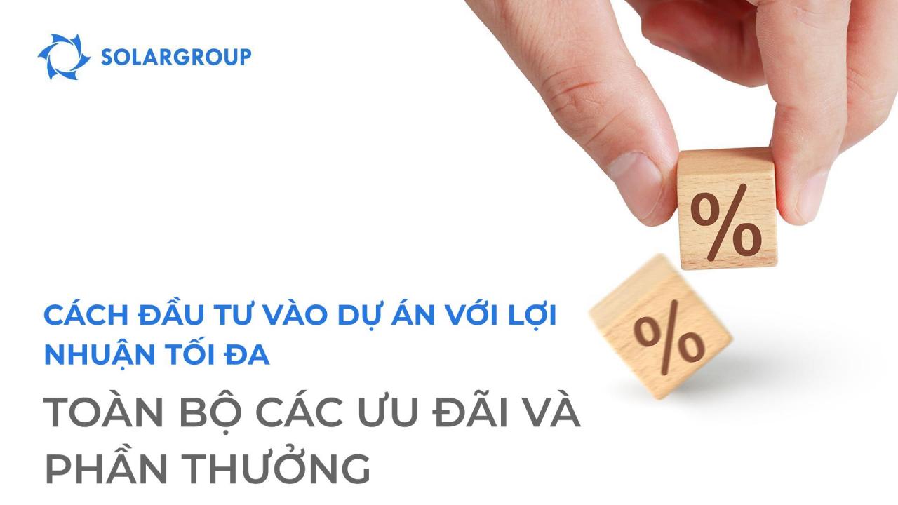 Cách đầu tư vào dự án với lợi nhuận tối đa: toàn bộ ưu đãi và phần thưởng