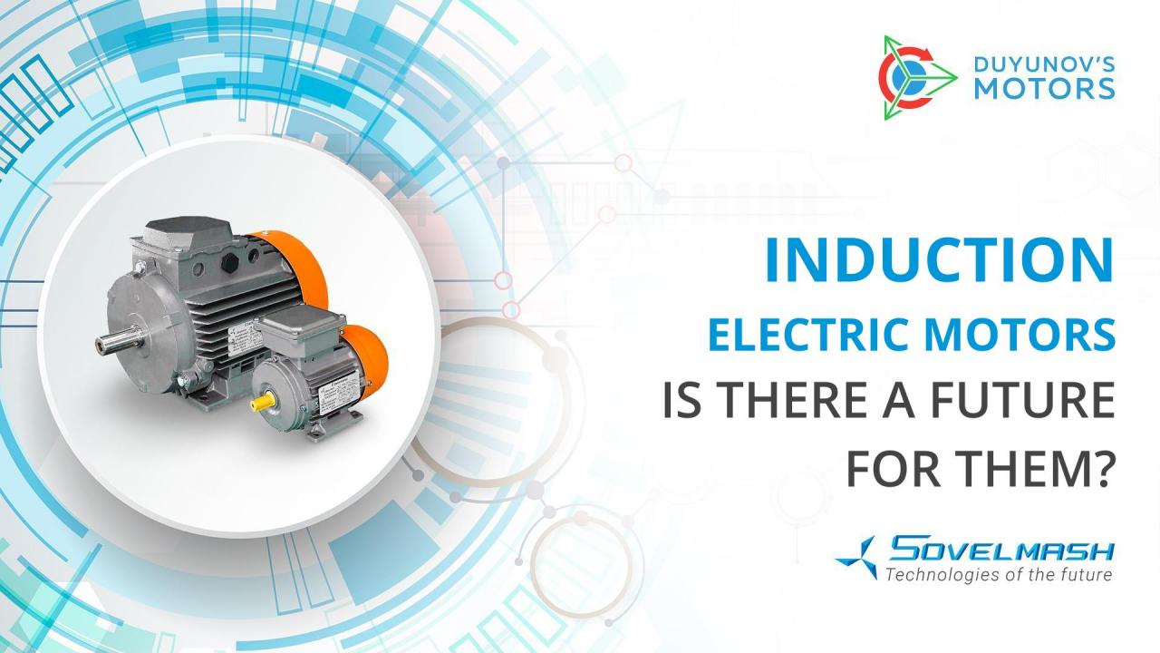 Induction electric motors: is there a future for them?