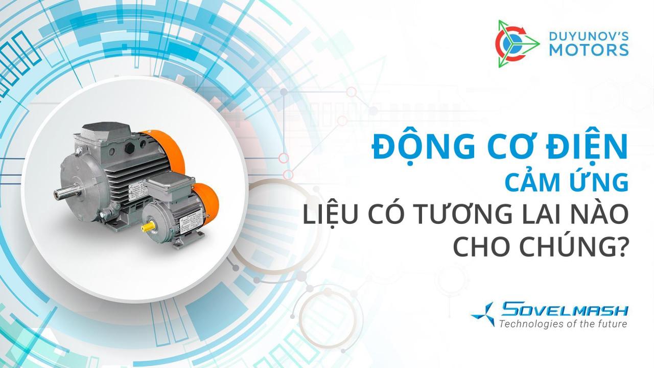 Động cơ điện cảm ứng: Liệu có tương lai nào cho chúng?