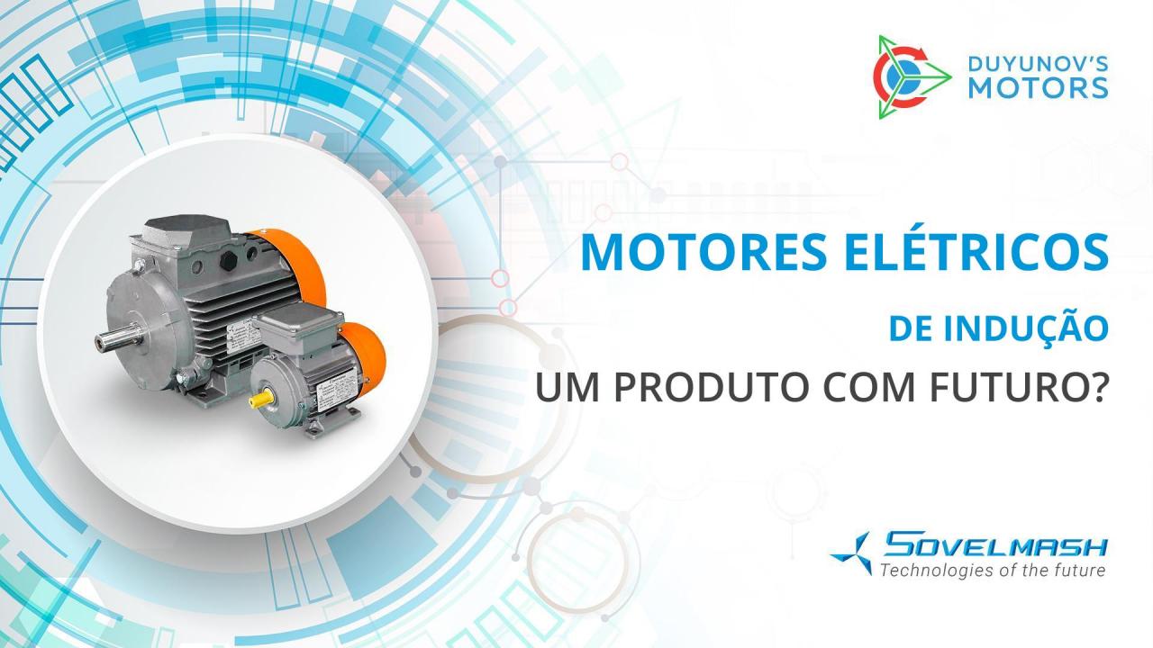 Motores elétricos de indução: um produto com futuro?