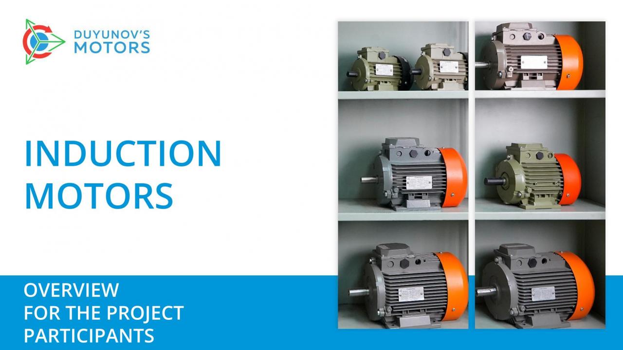 Overview for the project participants: induction motors