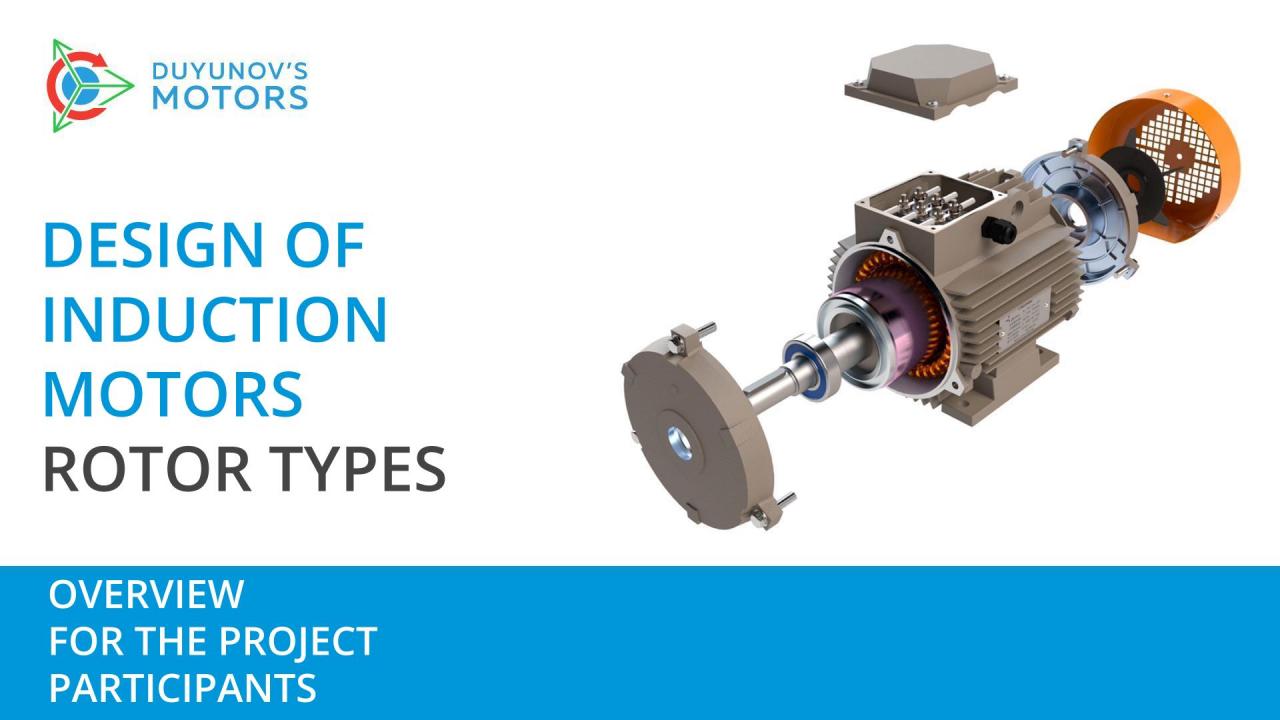 Overview for the project investors: design of induction motors, types of rotors